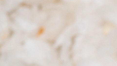 Small Business Saturday