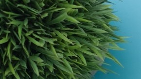 Tarjeta de crédito