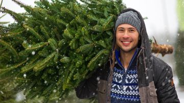 Inflación en EE.UU.: cuánto más caros serán los árboles de Navidad este año en EE.UU.