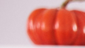 SNAP: qué puedes comprar para tu cena de Thanksgiving Day y dónde en EE.UU.