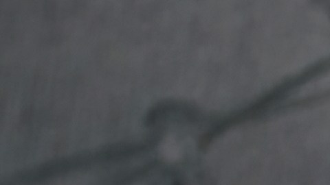 Cheque de estímulo