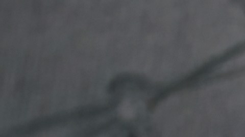 Cheque de estímulo