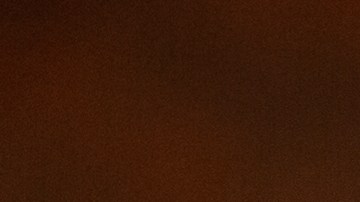 elon musk despidos twitter