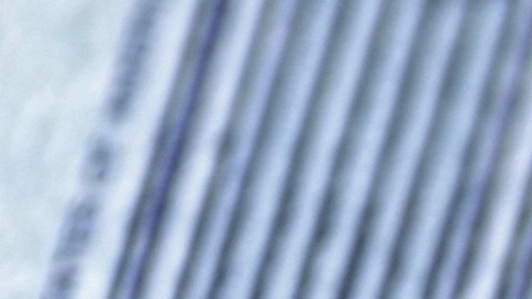 ¿Puedes reclamar beneficios del Seguro Social por discapacidad en EE.UU. si estás embarazada?