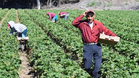 inmigrantes indocumentados