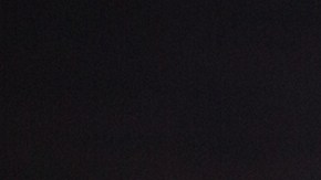 pavo para la cena del dia de accion de gracias