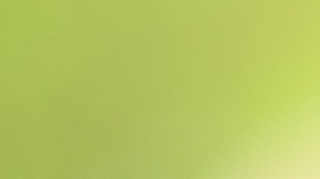 El Departamento de Trabajo de EE.UU. acepta aplicar Inversiones ESG en planes 401(k) en EE.UU.: cómo pueden beneficiarte