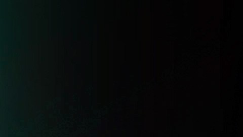 vale la pena invertir o no en criptomonedas