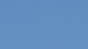 programa de condonación de préstamos estudiantiles detenidos ee.uu.