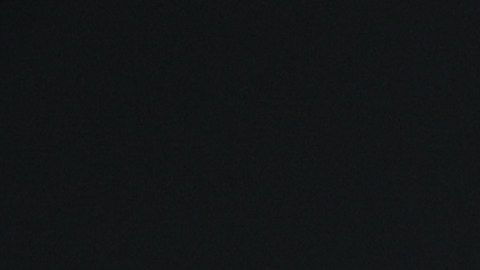 Cheque de estímulo federal