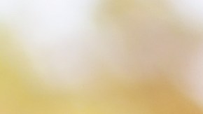 Cuál es el puntaje de crédito ideal para comprar un auto en EE.UU.