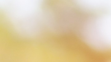 Cuál es el puntaje de crédito ideal para comprar un auto en EE.UU.