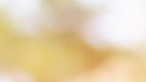 Cuál es el puntaje de crédito ideal para comprar un auto en EE.UU.