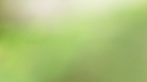 De una tarjeta de crédito en EE.UU.: ¿pueden confiscar parte de mi salario por una deuda?