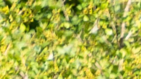 Freddie Mac pronostica que las tasas de interés hipotecario se mantendrán a niveles históricamente altos en 2023