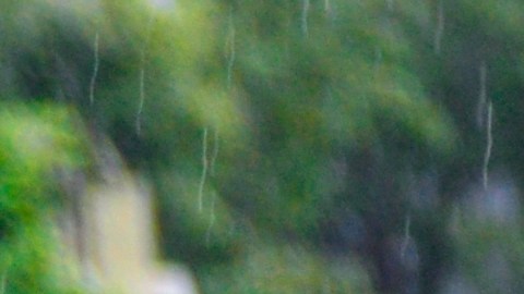 Huracán Nicole en EE.UU.: cómo solicitar asistencia financiera si fuiste víctima de este desastre natural