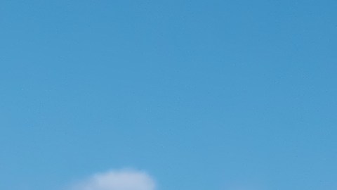 Cómo obtener un permiso de vendedor en Florida para empezar un negocio propio
