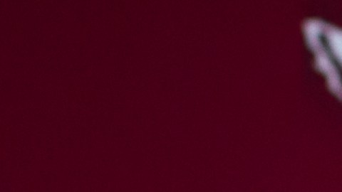 Premio Nobel de Economía Paul Krugman asegura que la era de las criptomonedas podría estar llegando a su fin