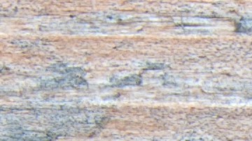 precio alquiler en EE.UU.