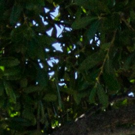 Cómo puedo encontrar una sucursal de Walmart cerca de mí en EE.UU.