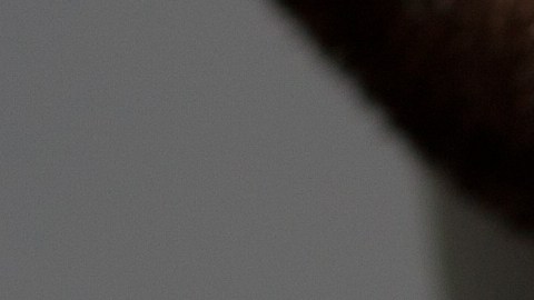 cuentas de ahorros sin impuestos