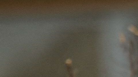 huelga de enfermeras en Nueva York