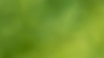 Las familias estadounidenses perdieron más de un mes de salario en los últimos dos años debido a la inflación, según la Fundación Heritage