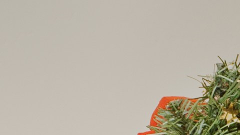 Navidad 2023: cómo devolver un regalo en EE.UU.