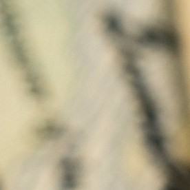 ¿Puedo pagar créditos del Seguro Social en EE.UU. para garantizar mi jubilación aunque no esté trabajando?