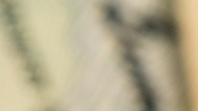 ¿Puedo pagar créditos del Seguro Social en EE.UU. para garantizar mi jubilación aunque no esté trabajando?