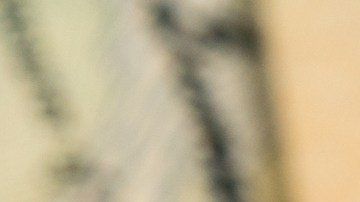 ¿Puedo pagar créditos del Seguro Social en EE.UU. para garantizar mi jubilación aunque no esté trabajando?