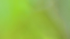 precios de las casas en estados unidos