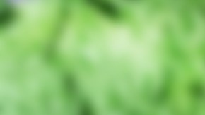 Recortes en el Seguro Social en EE.UU.: el foco de la polémica en el Congreso