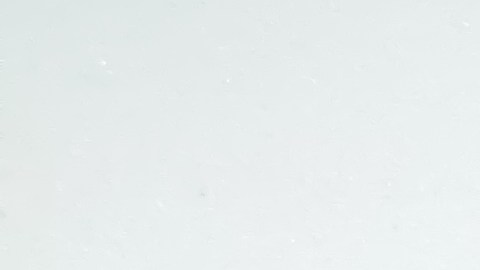 tipos de certificado de deposito