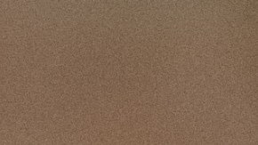 Qué necesitas para convertirte en un traductor certificado de español-inglés en Estados Unidos