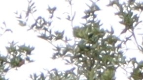 Truist Bank: cuáles días no estarán abiertos en 2023 por ser feriados en EE.UU.