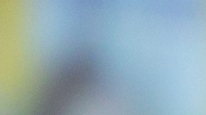 Empleado de McDonald's