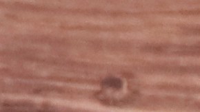 La inflación afecta al Super Bowl