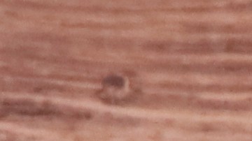 La inflación afecta al Super Bowl