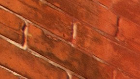 alquiler de vivienda