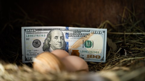 altos precios de huevos