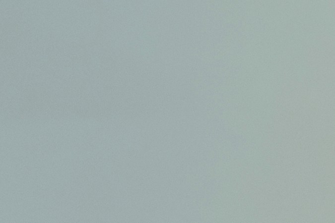 empresas latinas en EE.UU. crecen en pandemia