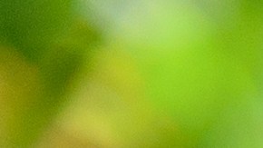 Valor acumulado de la vivienda home equity