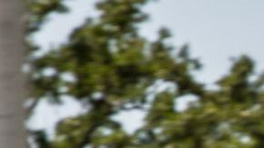 Tener y mantener un auto es la nueva pesadilla económica