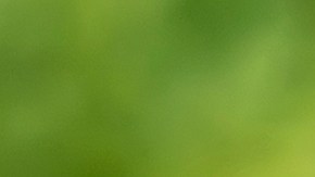 reduccion de salarios e inflacion