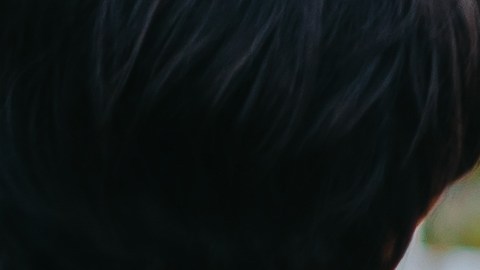 Cheque de estímulo de Alaska