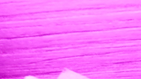 Only Fans