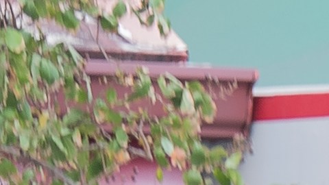 Recolector de basura
