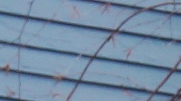 alquiler asequible en Nueva York