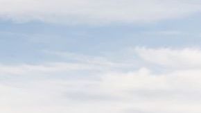 Precio del seguro de auto, según la marca y el modelo